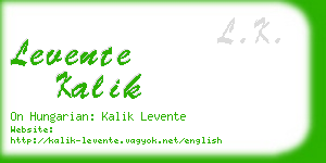 levente kalik business card